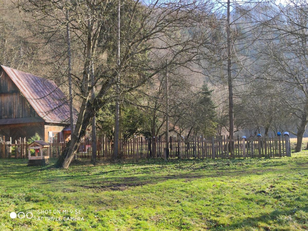Osada Wloscianska Ojcow Exterior photo
